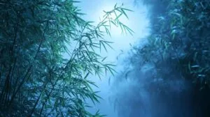 creating a tranquil atmosphere.