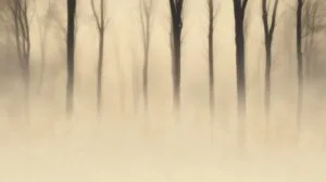 creating a serene and tranquil atmosphere.