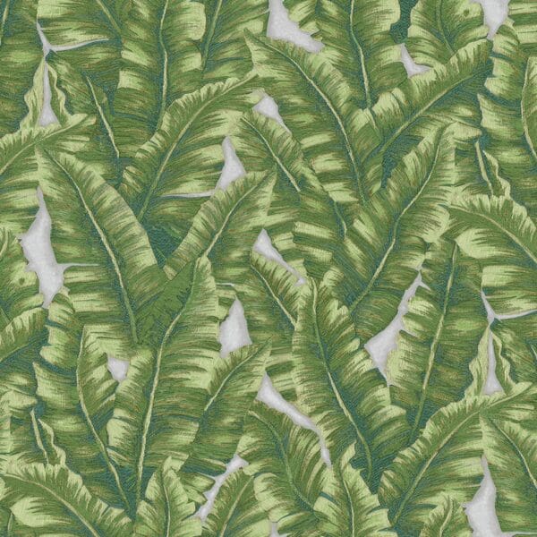 green banana leaf wallpaper lush jungle