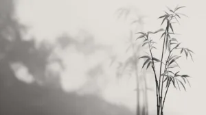 Alternative view of Elegant Bamboo Serenity Wall Mural