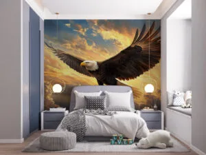 Eagle soaring in a colorful sky at sunrise or sunset