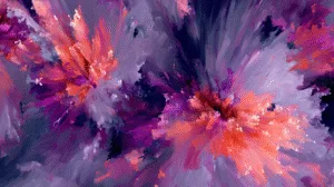 oranges