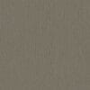 Dark Gray Silver