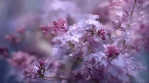 Alternative view of Delicate Lilac Blossoms Wall Mural