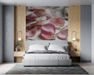 A collection of rose petals scattered on a textured surface.