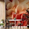 Close-up of layered petals in coral and beige tones