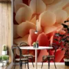 Close-up of layered petals in coral and beige tones||