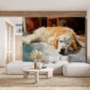 Golden retriever resting on a porch in a sunny setting||
