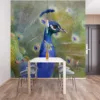 A vibrant peacock displaying its colorful feathers in a natural setting.||