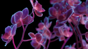 Alternative view of Neon Orchid Elegance Wall Mural