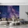 A rabbit on a road under a starry night sky||