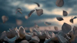 Alternative view of Twilight Petals Serenity Wall Mural
