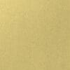 Belbien FM-41 Gold Spin architectural film by WallpaperTwins