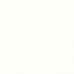 Belbien NC-2150 Precious White architectural film by WallpaperTwins