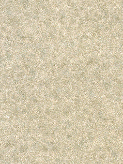 Belbien S-526 Frosty Sand architectural film by WallpaperTwins