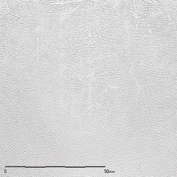 Belbien TX-020 Precious White Enzu architectural film by WallpaperTwins