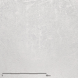Belbien TX-021 be White Enzu architectural film by WallpaperTwins