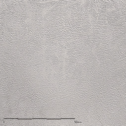 Belbien TX-025 Pearl Gray Enzu architectural film by WallpaperTwins
