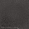 Belbien TX-028 Off-Black Enzu architectural film by WallpaperTwins