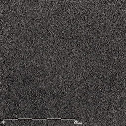 Belbien TX-028 Off-Black Enzu architectural film by WallpaperTwins