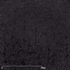 Belbien TX-029 Carbon Black Enzu architectural film by WallpaperTwins