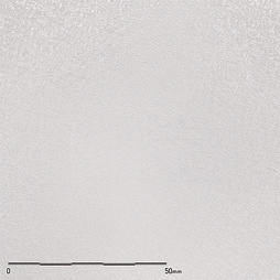 Belbien TX-063 Silver White Tissu architectural film by WallpaperTwins