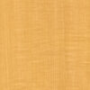 Belbien W-320 Léger Maple (S) architectural film by WallpaperTwins