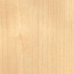 Belbien W-638 Plain Maple(SC) architectural film by WallpaperTwins