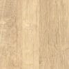 Belbien W-651 Rowdy Oak Light(SC) architectural film by WallpaperTwins