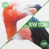 Soletex – Gallery Image # (KW ) by Soletex